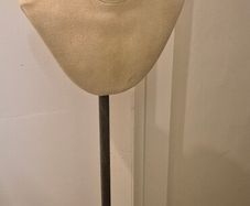 Display bust