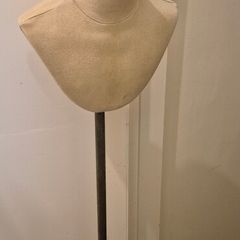 Display bust