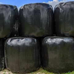 Top Quality silage