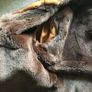 Sheepskin coat Image 8