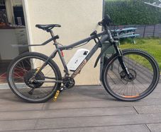 Ebike 1000W 48v 13ah back wheel drive electric bike mountain bike foldable bike