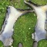 Vw Golf Mk5 Wings Image 6
