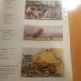2 Coloured Art Catalogue.1x James Adams & Bonhams 2x Gorry Gallery Thomas Ryan  R.h.a. Image 9