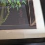 bamboo picture Image 2