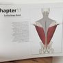 Key Muscles of Yoga by Ray Long Image 2