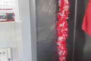 Feather Boa for Sale