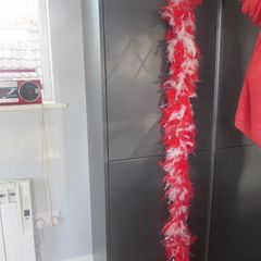 Feather Boa for Sale