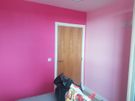 Ciaran Mc Clean Painting & Decorating Image 8