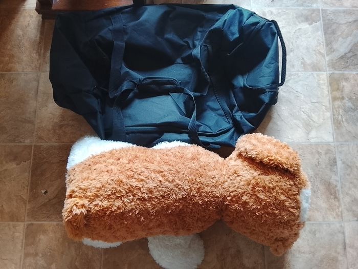 Dog teddy and luggage bag