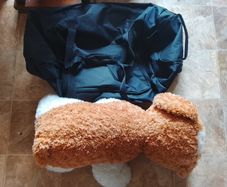Dog teddy and luggage bag