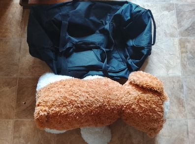 Dog teddy and luggage bag