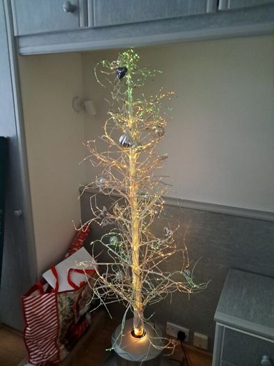outdoor Christmas tree