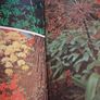 Robin Lane Fox / Variations on a Garden / 1st. Ed. /1974 Image 9