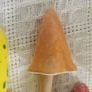 Ceramic Pot Toadstool Image 3