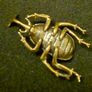 3 brass beetles. Image 6