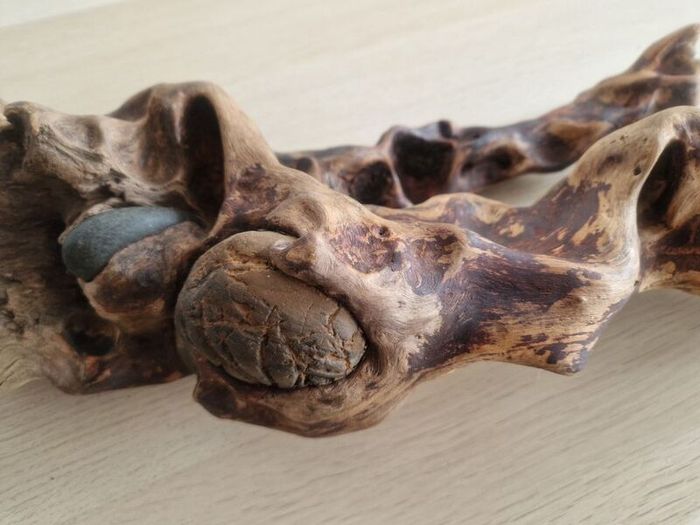 driftwood