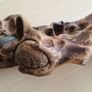 driftwood Image 5
