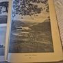 Vintage 1948 The Capuchin Annual Image 7