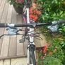 Lapierre Shaper 100 Ladies Bike Image 3