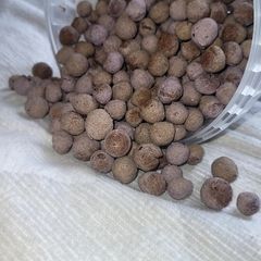 Small animal treats