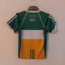 offaly gaa jersey Image 4