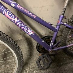 Apollo XC24 Single-Speed Bike