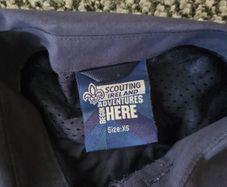 scouts