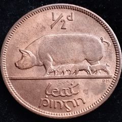 Ireland - 1966 - Irish Half Penny - 1/2d - Sow - KM.10 - UNC - [2699]