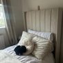 Single ottoman bed Image 6