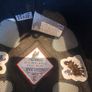 champion Junior X air plus horse riding Helmet Image 2