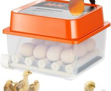 NEW SALE | Egg Incubator Incubators for Hatching Eggs Auto Egg Turning 12 Eggs
