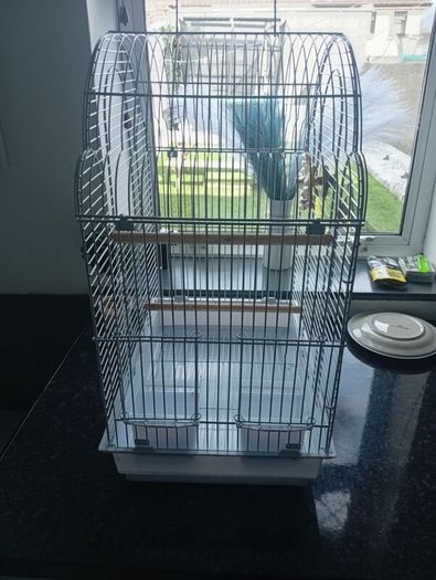 Birdcage