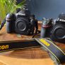 Nikon D850 Nikon 800 Image 3