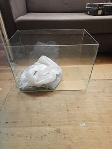 fish Tank