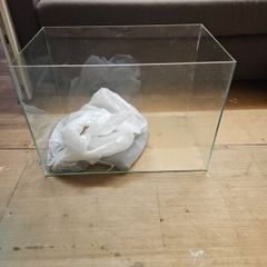 fish Tank