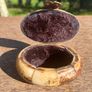 Rare Vintage Camel Bone Trinket Box with Exquisite Brass Inlay and Owl Closure Image 3