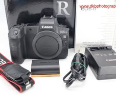 Canon Eos R Mirrorless Camera #0568