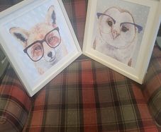 pictures