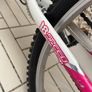 Montain Bike Image 3