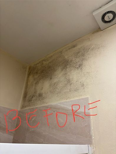 Mould Remover