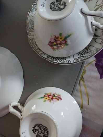 silver anniversary cups