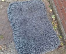 dog bed free to take
