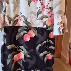 Ted Baker Dress