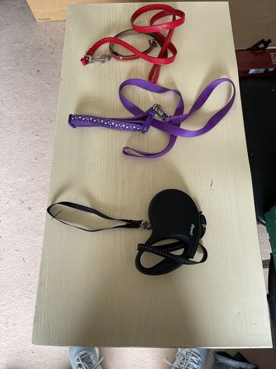 dog leads x3