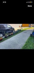 flower pots