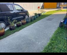 flower pots