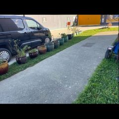 flower pots