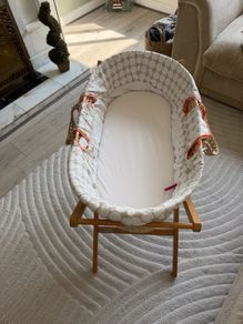 Moses basket