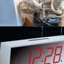 New large numbers Alarm Clock Marks & Spencer Image 5
