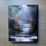 The Irish Garden by Jane Powers photographs by Jonathan Hession large hardback Image 9
